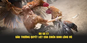 đấu trường đá gà c1 cực đỉnh tại good88