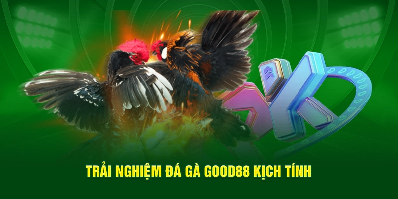 Trải nghiệm đá gà Good88 kịch tính
